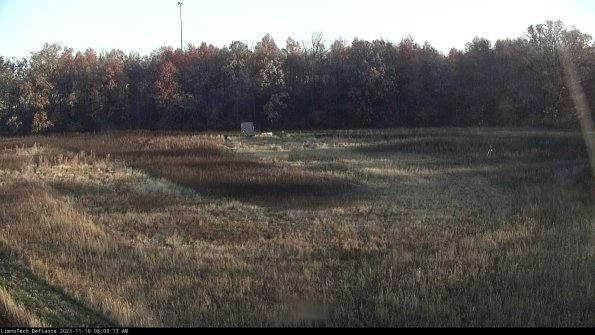 Cell 4_23-11-10_08-09-13-77