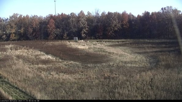 Cell 4_23-11-10_08-42-42-79