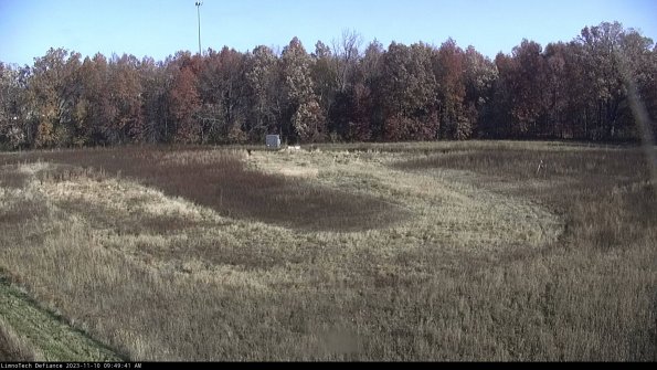 Cell 4_23-11-10_09-49-41-79