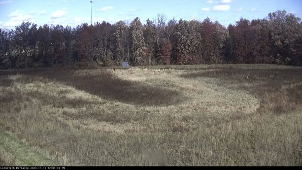 Cell 4_23-11-10_12-03-39-76