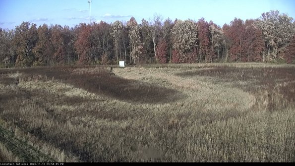 Cell 4_23-11-10_15-58-05-80