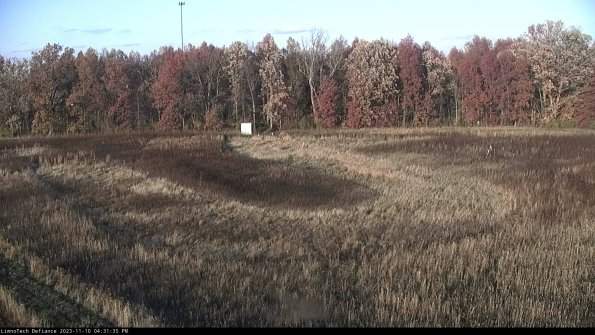 Cell 4_23-11-10_16-31-35-78