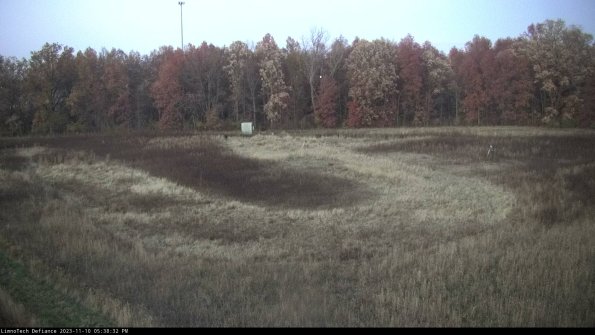 Cell 4_23-11-10_17-38-32-78