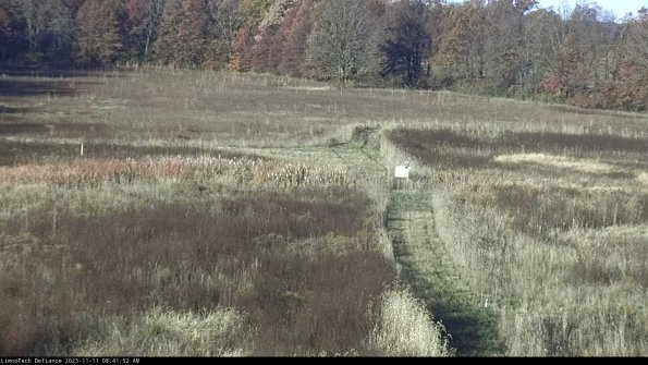 Cell 1 to 2_23-11-11_08-41-52-79