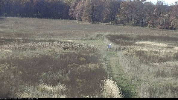 Cell 1 to 2_23-11-11_14-50-15-75