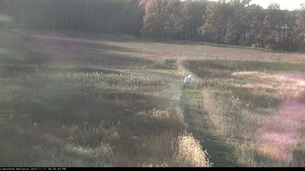 Cell 1 to 2_23-11-11_16-30-43-78