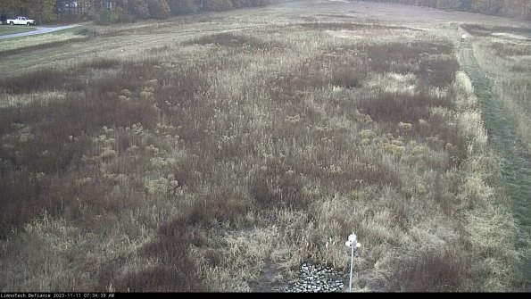 Cell 1_23-11-11_07-34-39-78