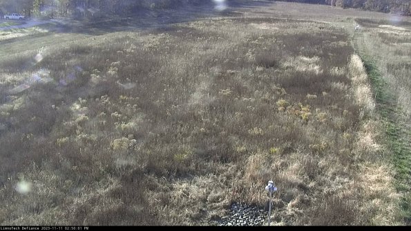 Cell 1_23-11-11_14-50-01-77