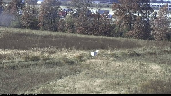 Cell 2 to 3_23-11-11_14-50-41-91