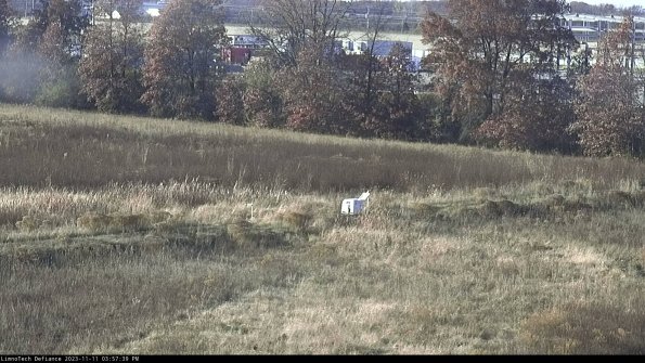 Cell 2 to 3_23-11-11_15-57-39-95