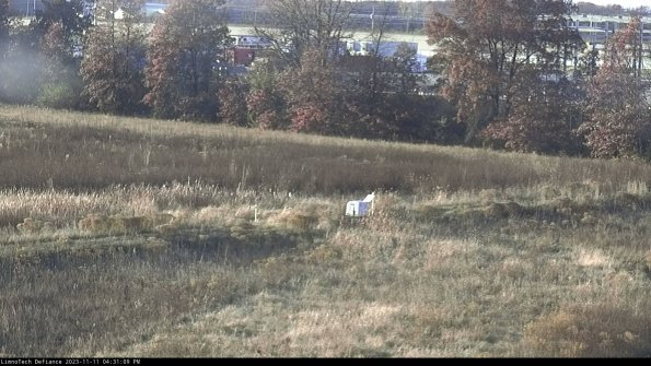 Cell 2 to 3_23-11-11_16-31-09-94