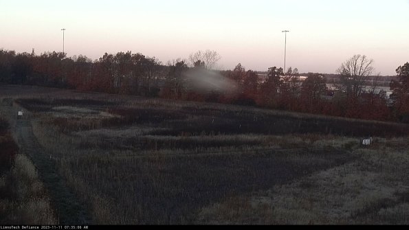 Cell 2_23-11-11_07-35-06-84