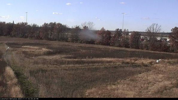 Cell 2_23-11-11_14-50-28-80