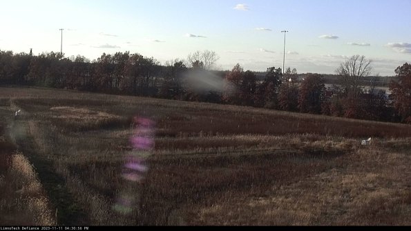 Cell 2_23-11-11_16-30-56-86