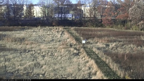 Cell 3 to 4_23-11-11_16-31-38-77