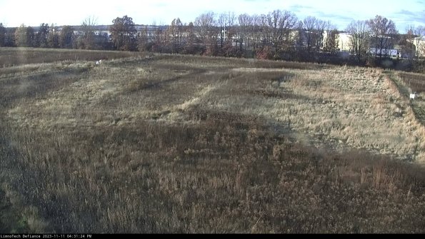 Cell 3_23-11-11_16-31-24-75