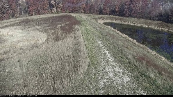 Cell 4 to Basin_23-11-11_14-51-54-79