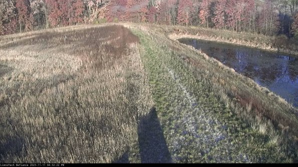 Cell 4 to Basin_23-11-11_16-32-22-78