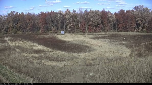 Cell 4_23-11-11_14-17-55-77