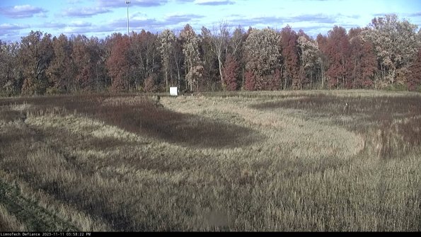 Cell 4_23-11-11_15-58-22-80