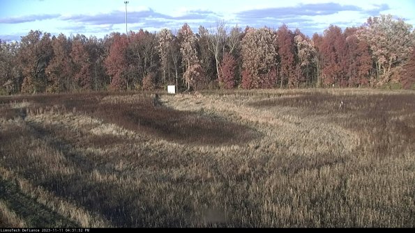 Cell 4_23-11-11_16-31-52-78