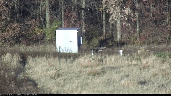 Outlet_23-11-11_15-58-37-81