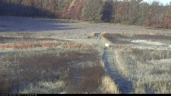 Cell 1 to 2_23-11-12_08-08-43-77