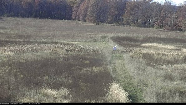 Cell 1 to 2_23-11-12_14-17-10-77