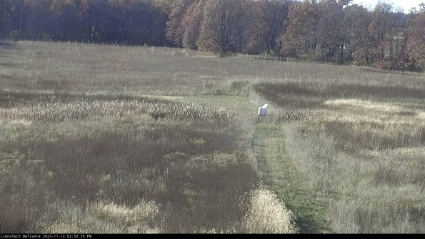 Cell 1 to 2_23-11-12_14-50-39-79