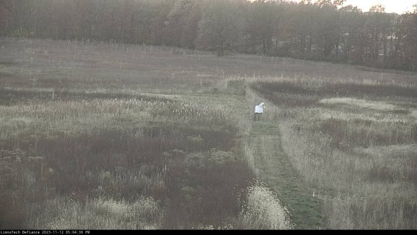 Cell 1 to 2_23-11-12_17-04-36-80