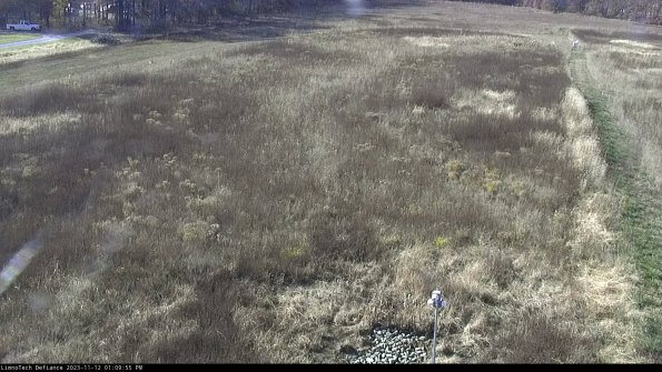 Cell 1_23-11-12_13-09-55-78