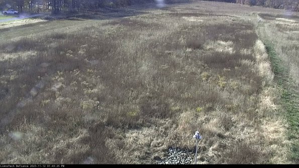 Cell 1_23-11-12_13-43-25-77