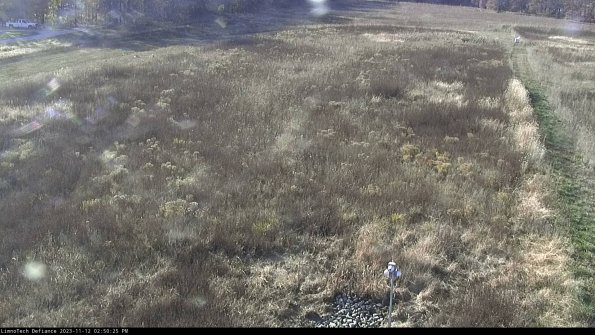 Cell 1_23-11-12_14-50-25-77