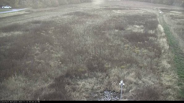 Cell 1_23-11-12_17-04-22-78