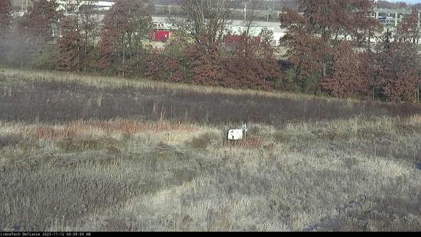 Cell 2 to 3_23-11-12_08-09-09-93