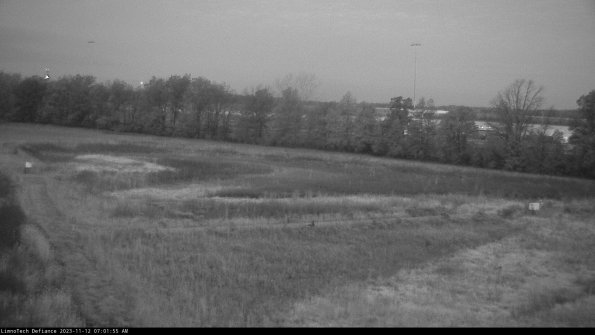 Cell 2_23-11-12_07-01-55-89