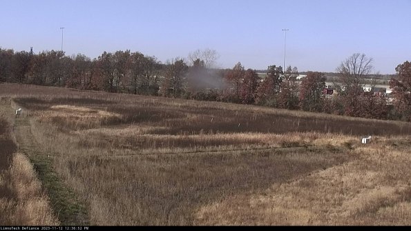 Cell 2_23-11-12_12-36-52-79