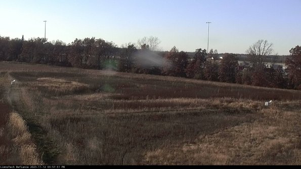 Cell 2_23-11-12_15-57-51-77