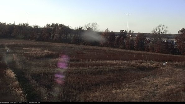 Cell 2_23-11-12_16-31-19-82