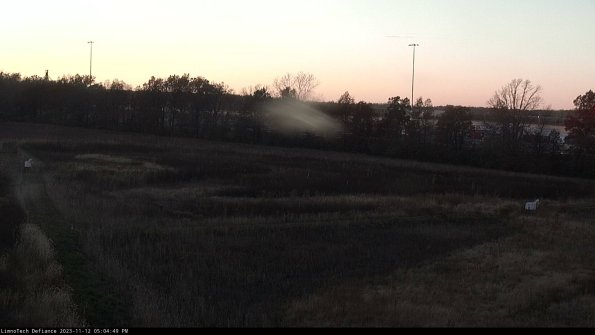 Cell 2_23-11-12_17-04-49-81