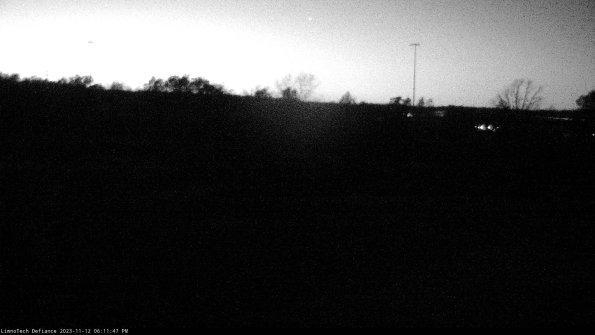 Cell 2_23-11-12_18-11-47-81