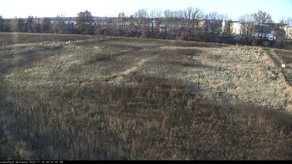 Cell 3_23-11-12_16-31-47-78