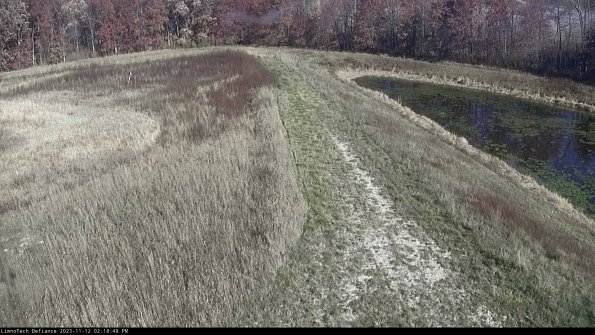 Cell 4 to Basin_23-11-12_14-18-48-77