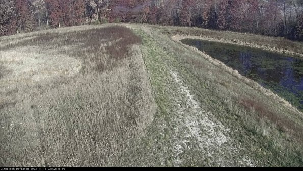 Cell 4 to Basin_23-11-12_14-52-18-79