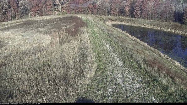 Cell 4 to Basin_23-11-12_15-59-16-79