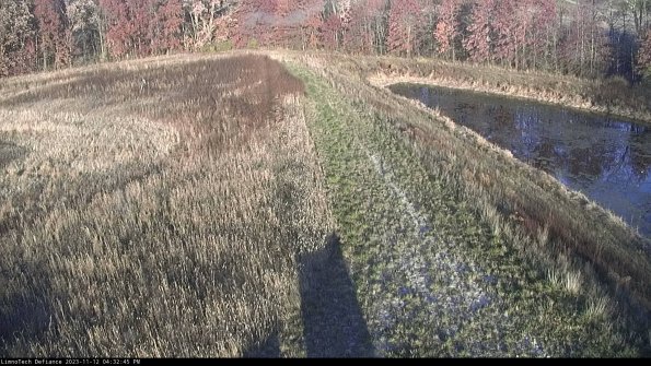 Cell 4 to Basin_23-11-12_16-32-45-78