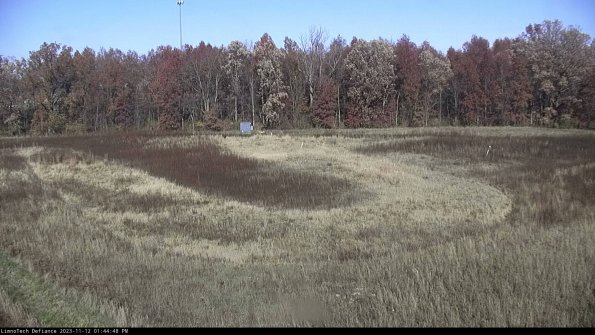 Cell 4_23-11-12_13-44-48-78