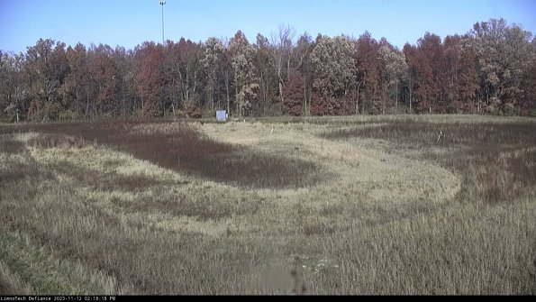 Cell 4_23-11-12_14-18-18-77