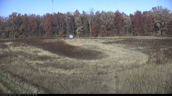 Cell 4_23-11-12_14-51-48-79