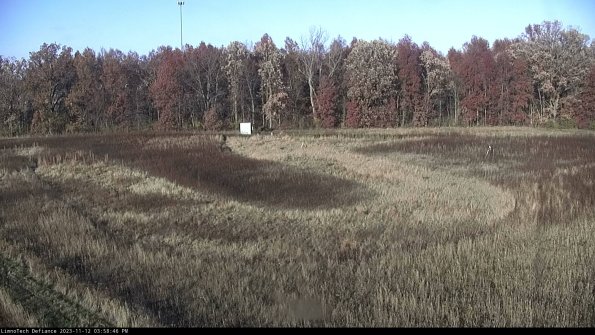 Cell 4_23-11-12_15-58-46-79